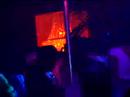 dox performance