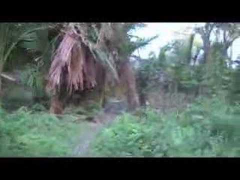 Image de prévisualisation YouTube