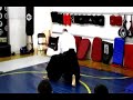 Aikido Basic Disarms Aikido Basic Disarms