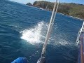 Whitsunday magic