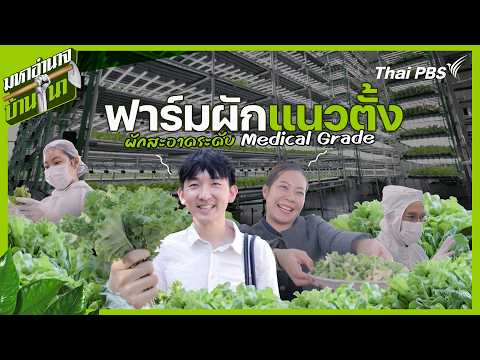 ฟาร์มผักแนวตั้ง ผักสะอาดระดับ Medical Grade
