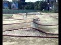 PISTA PALAZZOLI MODELLISMO