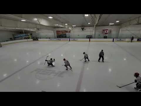 BCEHL Championship Winning Goal