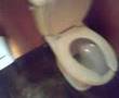 videos de WTF! Baños - FERLOP