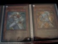 Trade Biner 12-24
