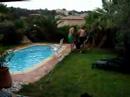 p-yeah s flight into the pool