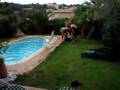 p-yeah s flight into the pool
