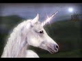 Todo caballos,mí gran pasión,lo más bonito en animal...