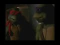 tortugas chintas