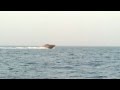 RIVA RAMA 44 Cruising