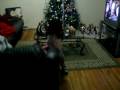 videos de travesuras de kyanna