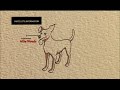 Heavy Petting title sequence