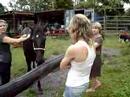 horses in cabarita horses in cabarita