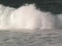 Shorey