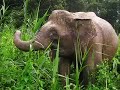 Unbelievable: Cute Smallest Creatures Slide Show! Unbelievable: Cute Smallest Creatures Slide Show!