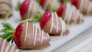 Living Devonport Coast - Suburb Profile