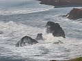 Huge Wave at Pt. Bonita California Huge Wave at Pt. Bonita California