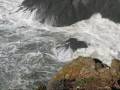 videos de Huge Waves at Pt. Bonita California
