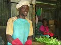 Banana growers story, Dominica Banana growers story, Dominica