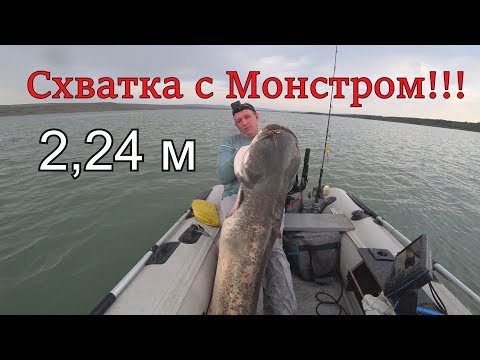 Сом на квок. Битва Титанов.