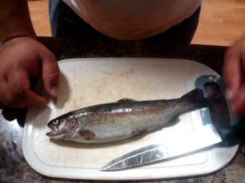 how to properly gut a trout