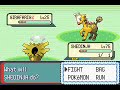pokemon emerald: cheat the safari zone pokemon emerald: cheat the safari zone