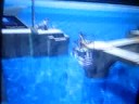 pokemon xd walkthrough :8 pokemon xd walkthrough :8