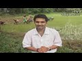 Aati Kalenja - Gradually Disappearing Tradition of Tulunadu Aati Kalenja - Gradually Disappearing Tradition of Tulunadu