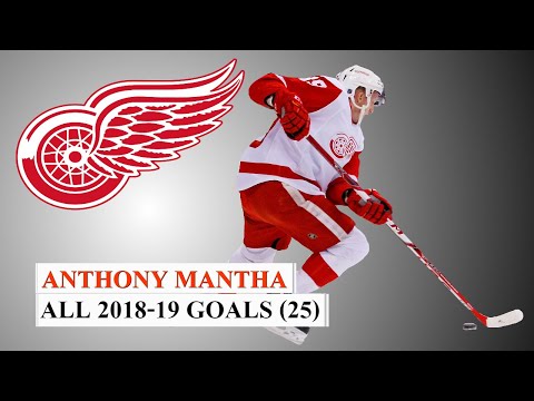 Anthony Mantha (#39) All 25 Goals of the 2018-19 NHL Season
