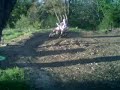 dirtbike riding