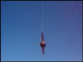 Tank Rafters