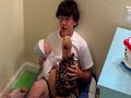 ComediesRus - Billy and Allen Go to School