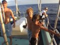 Shark Cage