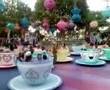 Mr. Perazzo on Teacups !!!!!! :)
