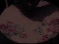 tutorial-beginner-card-magic-mind-reading.html
