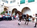 Entraetes Moros i Cristians Benilloba 2007