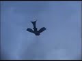 Shark Kite Shark Kite