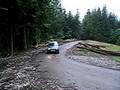 sadowy drift