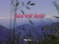 Die Violetten - Wahlspot für die Landtagswahlen 2008 Die Violetten - Wahlspot für die Landtagswahlen 2008