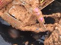 Muddpumpers "Pumpin 