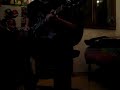 November Rain solos on Epiphone Slash Signature!