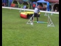 29.08.2010 HF Otterstadt Knochenspiel Small