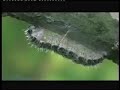 Globalnomad-nature-We will love you-Enviromentality Globalnomad-nature-We will love you-Enviromentality