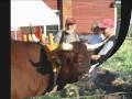 Summer in Vermont's Northeast Kingdom - YouTube