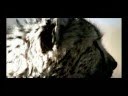 Canon EOS 40D TV commercial chinese/japanese?