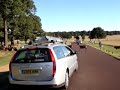 Deer Crossing Road in Richmond Park Deer Crossing Road in Richmond Park