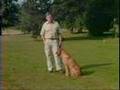 Robert Milner Hunting Lab Training 1985