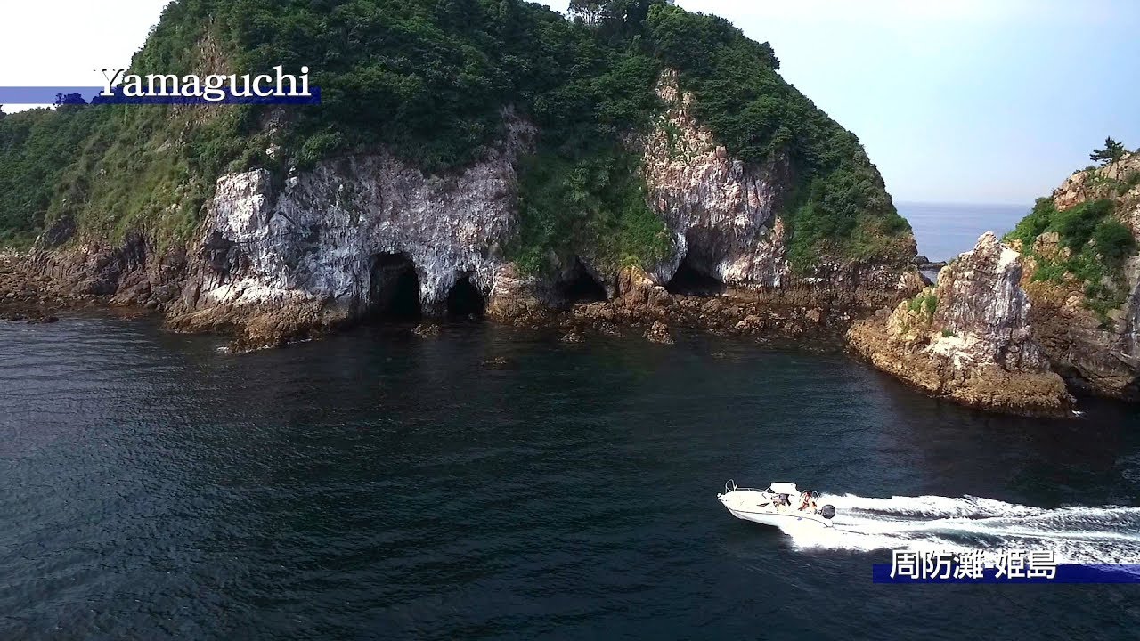 山口県 周防灘-姫島-クルージング&ランチ