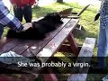 Shocking New Bearskins Investigation Shocking New Bearskins Investigation