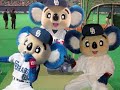 ??????(????????)??japanese baseball team dragons doara PV